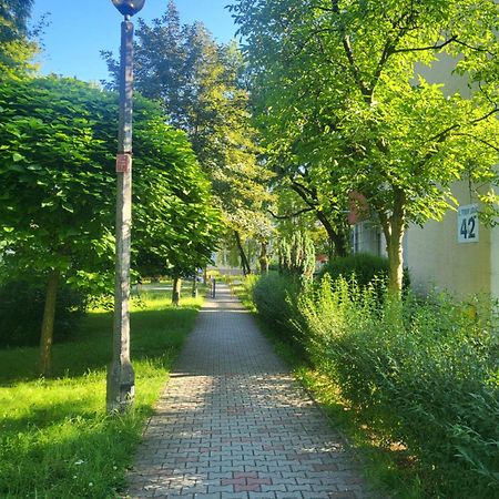 Apartmán Przytulne Mieszkanie Wola Duchacka Krakov Exteriér fotografie